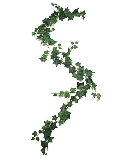 Brsljen-m-13-1.jpg Brsljen m 13 1.jpg