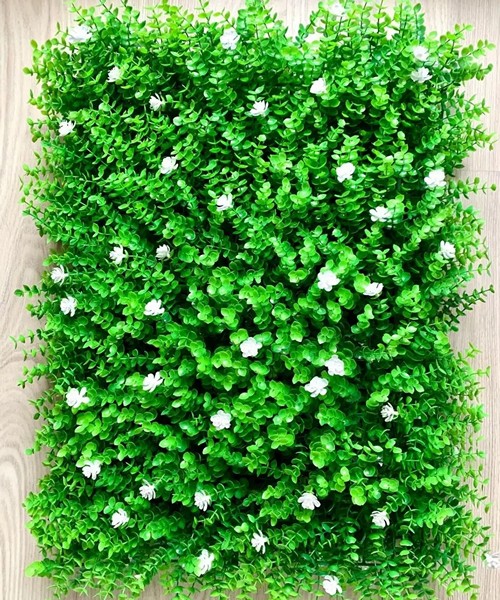 Eukaliptus-beli-cvet-m-7-1.jpg Eukaliptus beli cvet m 7 1.jpg