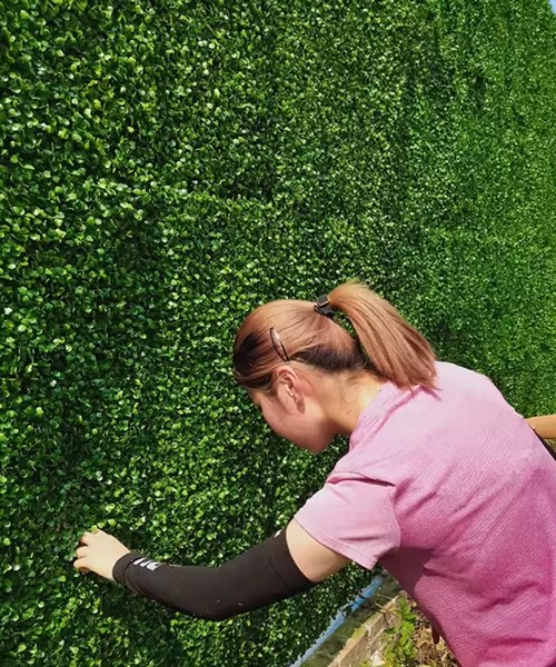 Vestacko zelenilo tip 1 m 15.jpg