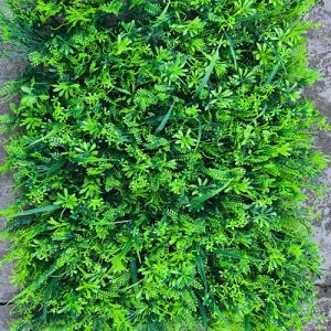 Vestacko zelenilo za zeleni zid gst m 14.jpg