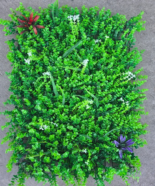 Zelenilo eukaliptus cvet m 2.jpg