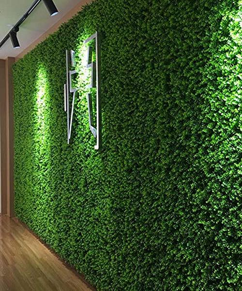 Zelenilo eukaliptus m 11.jpg