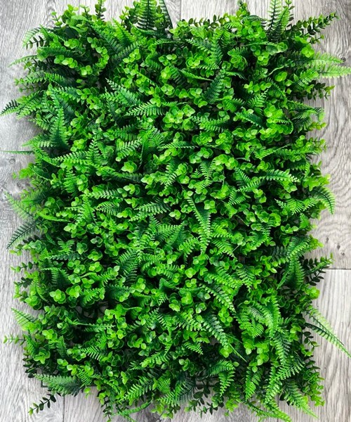 Zelenilo panel eukaliptus paprat m 1 1.jpg