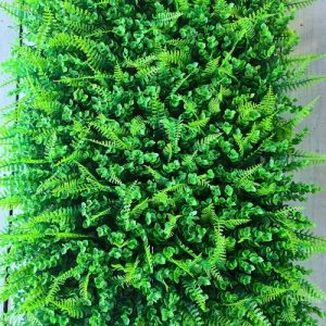 Zelenilo panel eukaliptus paprat m 7 1.jpg