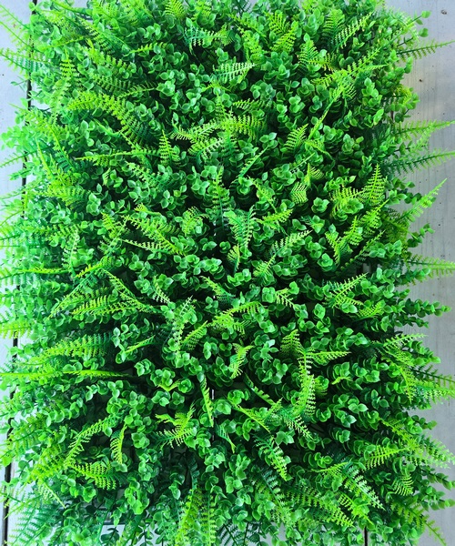 zelenilo-panel-eukaliptus-paprat-m-7-1.jpg Zelenilo panel eukaliptus paprat m 7 1.jpg